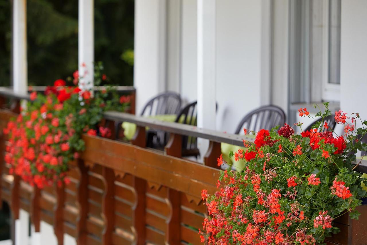 Tannmuehle Hotel Und Restaurant Gmbh Callenberg Kültér fotó